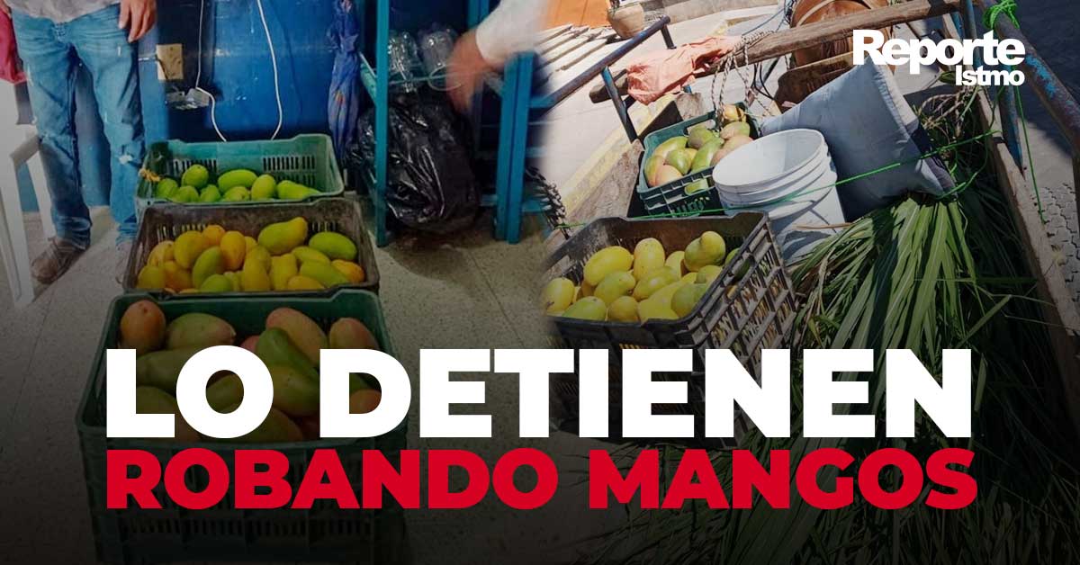 rejas con mangos